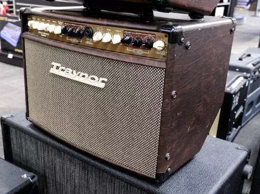 Store Special Product - Traynor - AM Standard 2-Channel Stereo Acoustic Guitar Amp - 150 Watts
